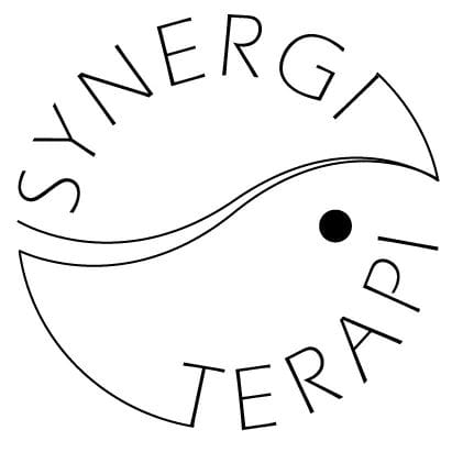 Synergiterapi